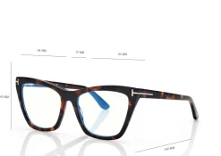BLUE BLOCK CAT EYE OPTICALS WITH CLIP ON SUNGLASSES