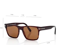 CALDER SUNGLASSES