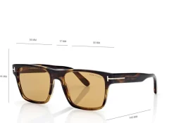 CALDER SUNGLASSES