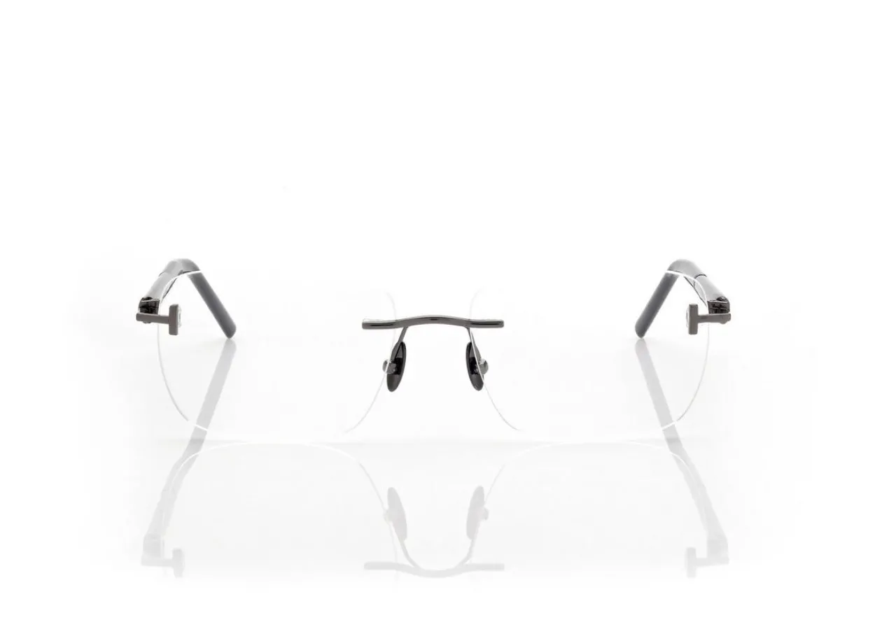 HORN AND TITANIUM RECTANGULAR OPTICALS