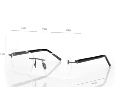 HORN AND TITANIUM RECTANGULAR OPTICALS
