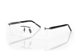 HORN AND TITANIUM RECTANGULAR OPTICALS