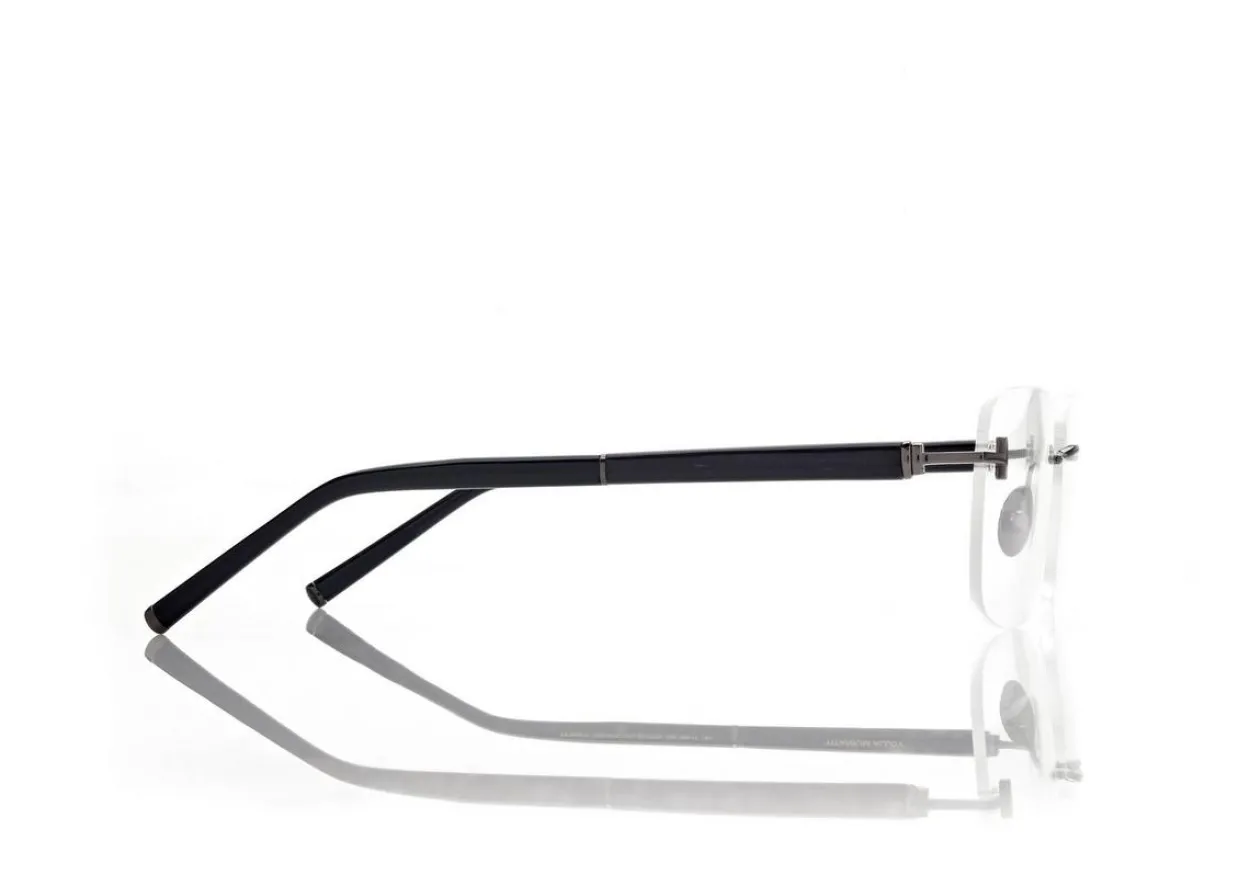 HORN AND TITANIUM RECTANGULAR OPTICALS