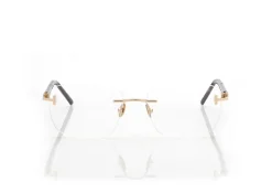 HORN AND TITANIUM RECTANGULAR OPTICALS