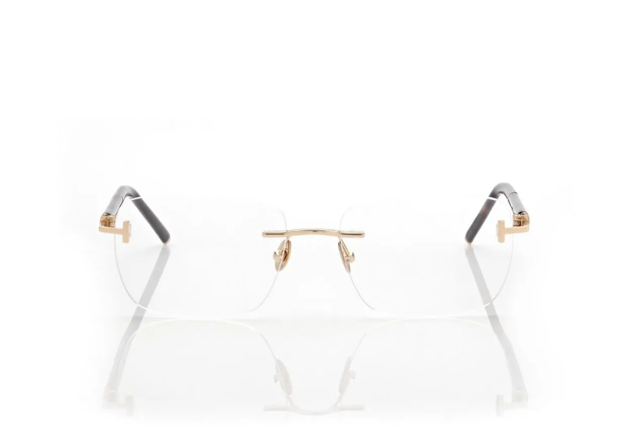 HORN AND TITANIUM RECTANGULAR OPTICALS