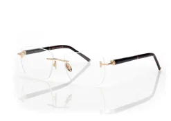HORN AND TITANIUM RECTANGULAR OPTICALS