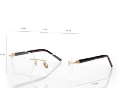 HORN AND TITANIUM RECTANGULAR OPTICALS