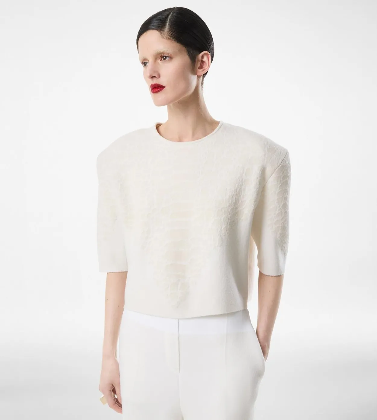 MERINO CASHMERE CREWNECK T-SHIRT WITH SILK CHENILLE EMBOSSED PYTHON DETAIL