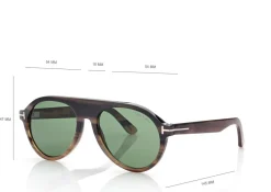PILOT HORN SUNGLASSES