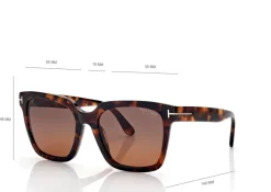 POLARIZED SELBY SUNGLASSES