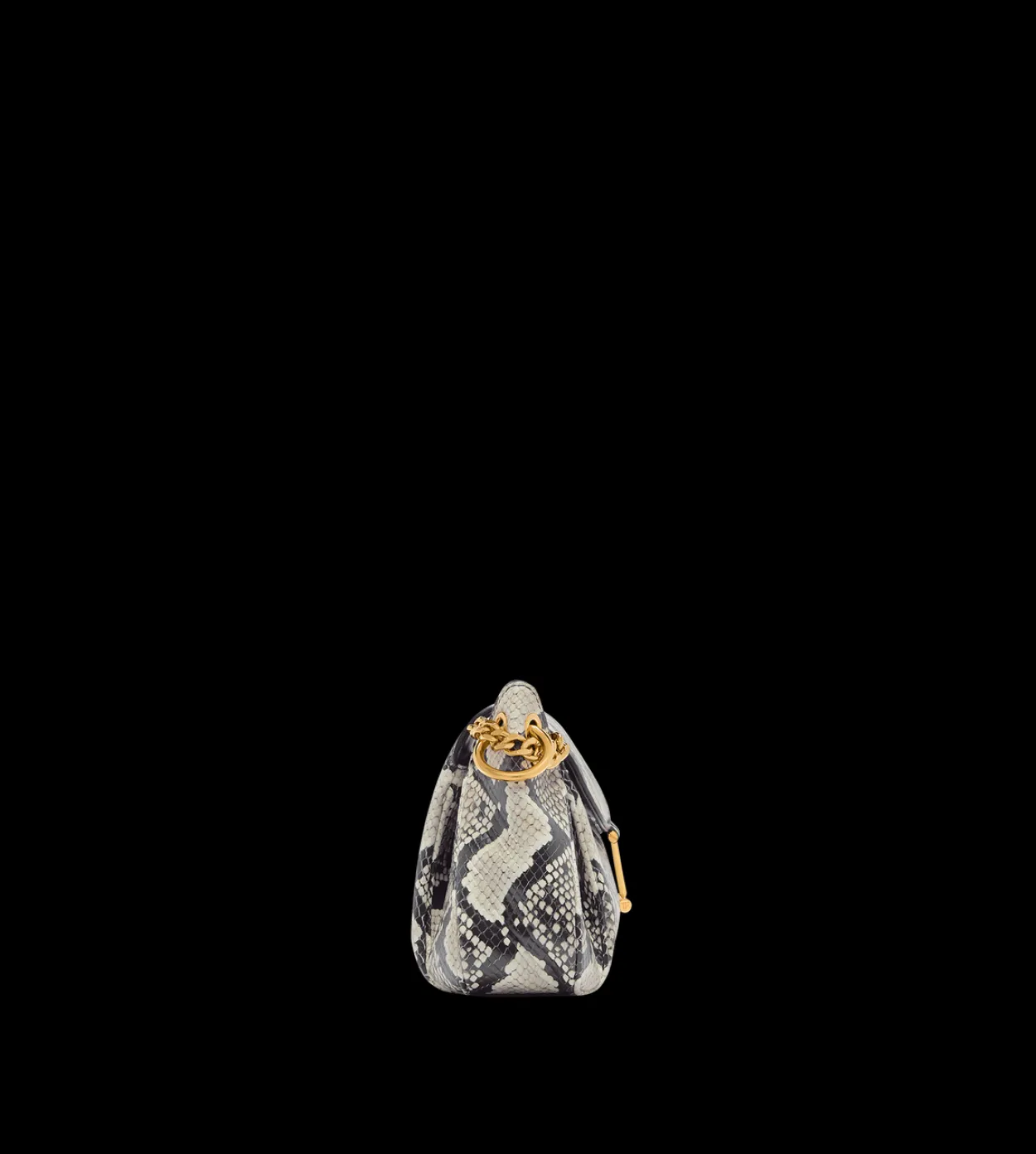 PRINTED PYTHON TARA CHAIN SHOULDER BAG
