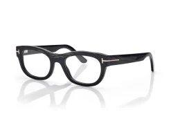 RECTANGULAR HORN OPTICALS