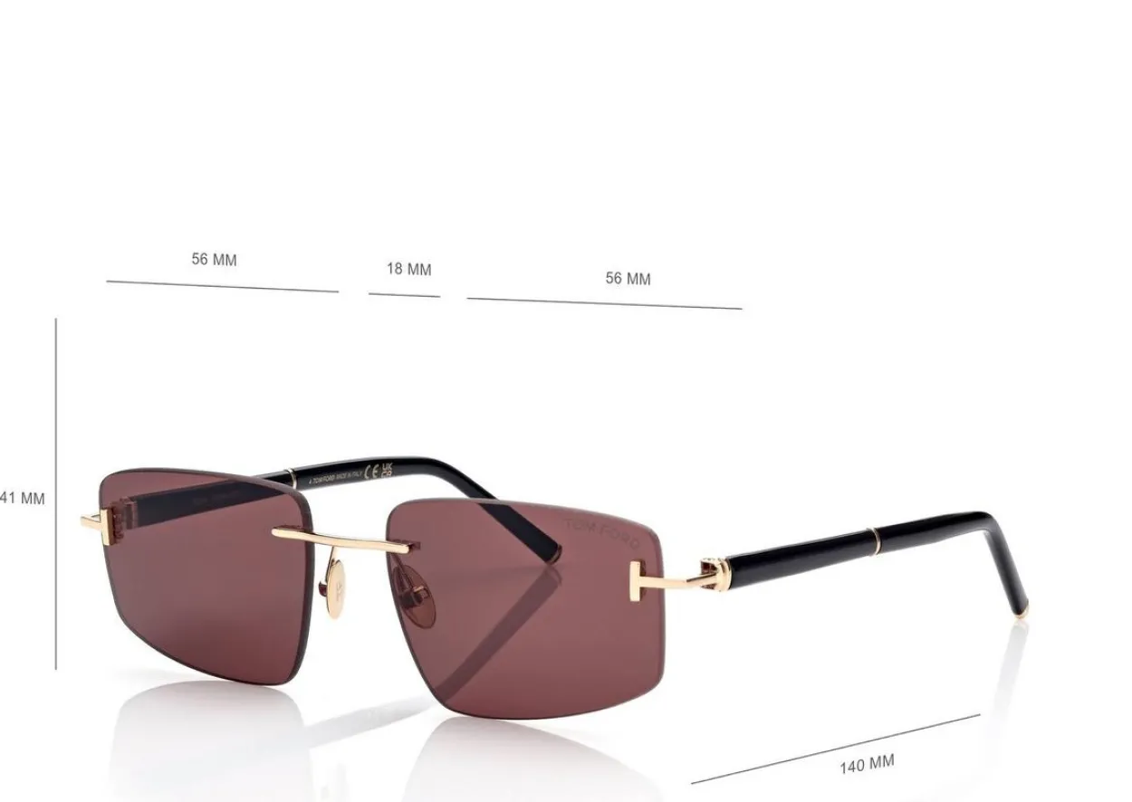 SQUARE TITANIUM AND HORN SUNGLASSES